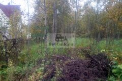 chastok152016-09-30_00001