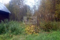 chastok152016-09-30_00003