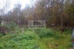 chastok152016-09-30_00004