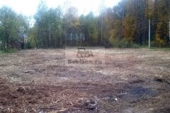 chastok152016-09-30_00007