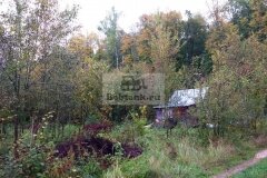 chastok152016-10-10_00005