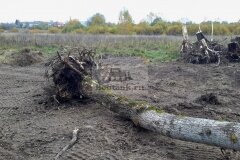 uchastok_160_2016-10-02_013