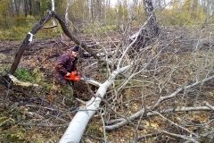 uchastok_160_2016-10-05_041